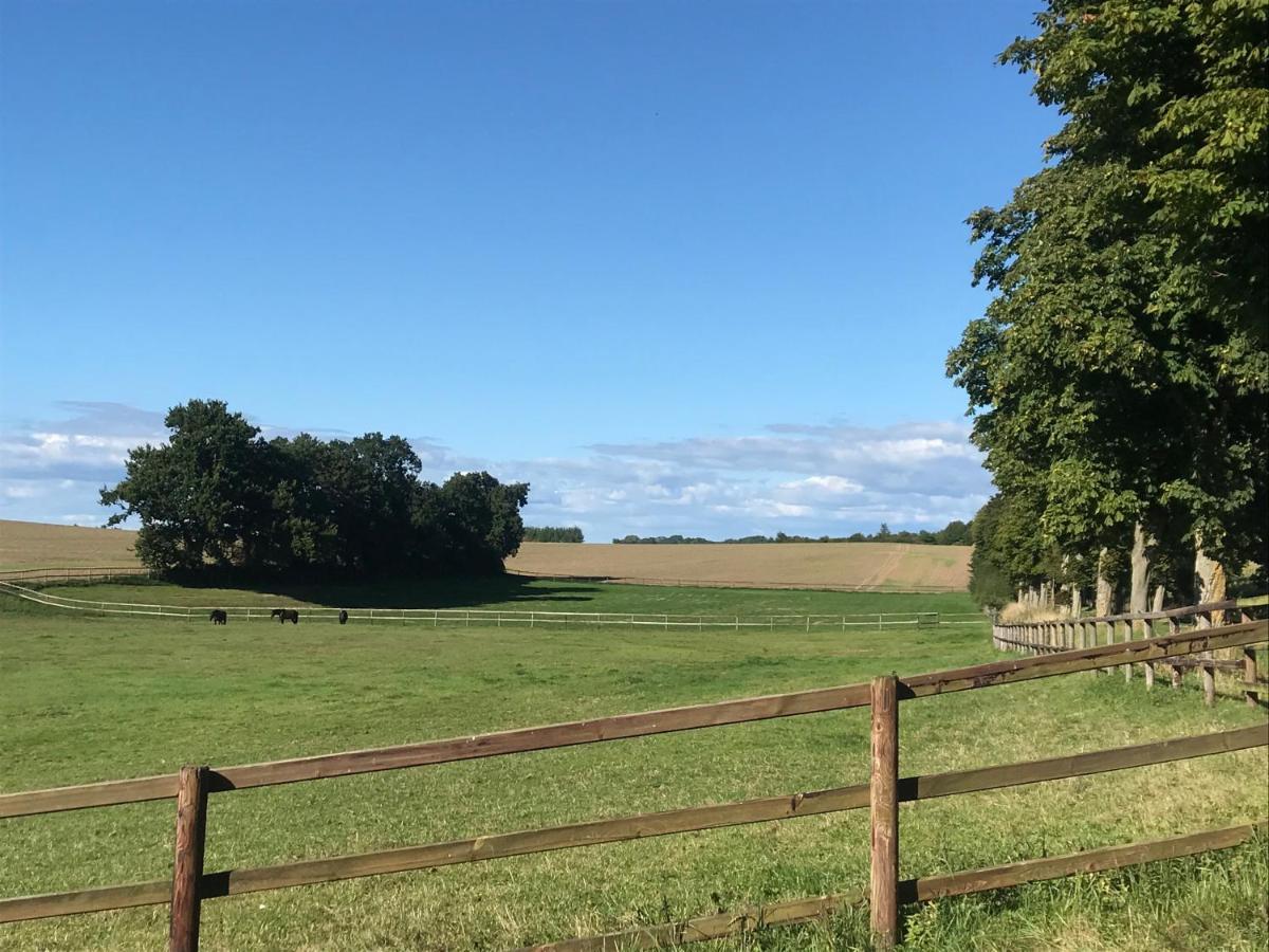 Refugium In Ostseenaehe Surendorf Exteriér fotografie